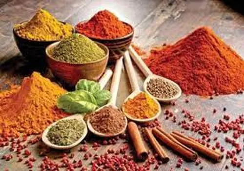 
افراد صبح گاهی در مقابل شب زنده دار چه راهی برای انرژی باید بخورند
