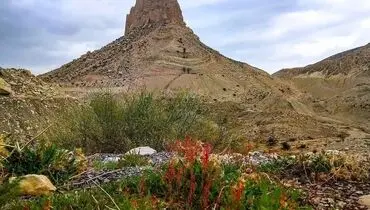 آکواریوم طبیعی در دل کوه+فیلم