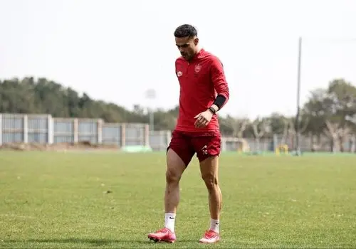  طعنه سخنگوی پرسپولیس به افشین پیروانی: پشت به ساحت وطن؟! 