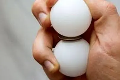 قیمت هرشانه تخم مرغ چند؟