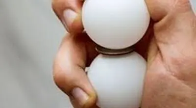 تاثیر شگفت انگیز مصرف تخم‌مرغ بر بهبود حافظه