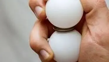 قیمت هرشانه تخم مرغ چند؟