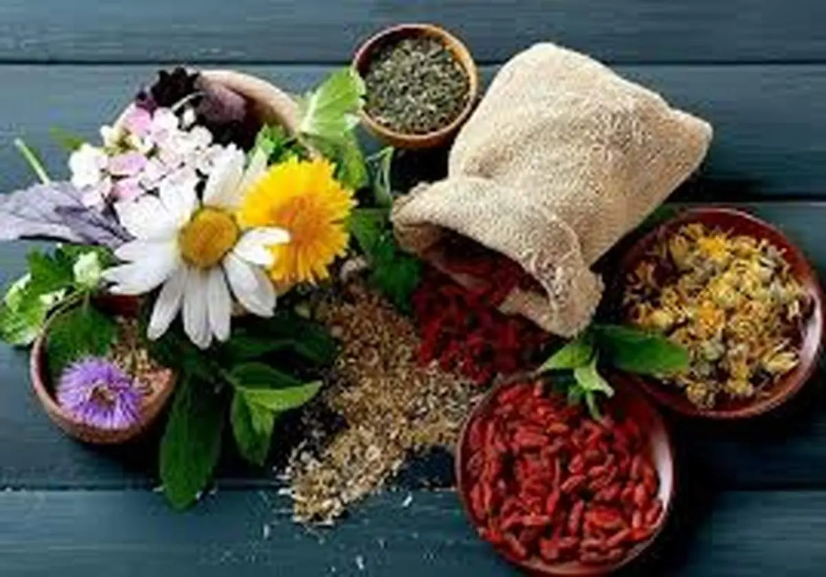 ۷ گیاه اورژانسی که حکم داروخانه طبیعی منزل شما را دارند!
