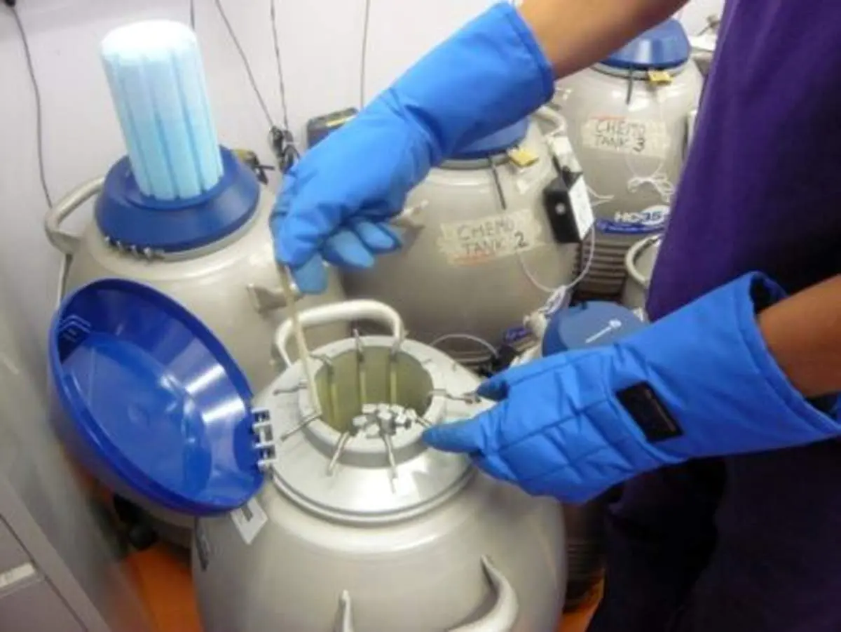 فریز جنین برای چه کسانی مناسب است؟
