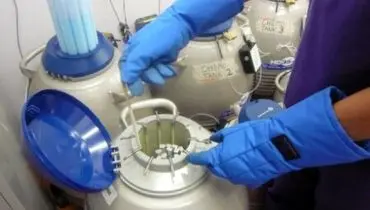 فریز جنین برای چه کسانی مناسب است؟
