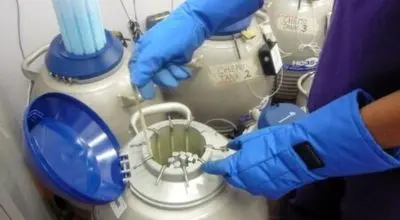 فریز جنین برای چه کسانی مناسب است؟
