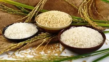 قیمت برنج ایرانی به ۳۴۰ هزار تومان رسید + لیست آبان ۱۴۰۴