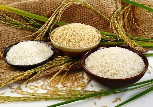 پیشبینی بورس امروز یکشنبه ۴ آبان ۱۴۰۴