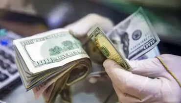 قیمت دلار، دینار عراق، درهم، یورو و افغانی امروز سه‌شنبه ۳۱ شهریور ۱۴۰۵ + جدول