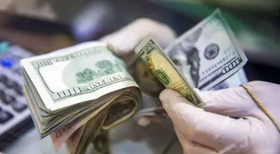 قیمت دلار، دینار عراق، درهم، یورو و افغانی امروز سه‌شنبه ۳۱ شهریور ۱۴۰۵ + جدول