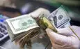 قیمت دلار، دینار عراق، درهم، یورو و افغانی امروز سه‌شنبه ۳۱ شهریور ۱۴۰۵ + جدول