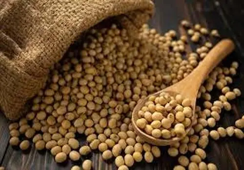 پروتئین مورد نیاز روزانه در افراد مختلف چقدر است؟