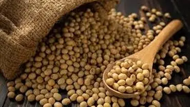 تفاوت سویا و آجیل سویا چیست و چه فرقی دارند