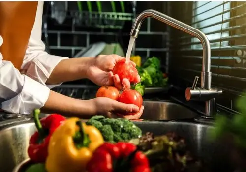 لیست غذا با کدو سبز
