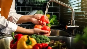 نمک، سرکه یا جوش‌شیرین؟ بهترین روش ضدعفونی میوه و سبزی