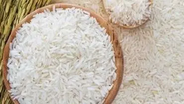 برنج کته چیست؟ و 5 مزیت آن برای سلامتی بدن