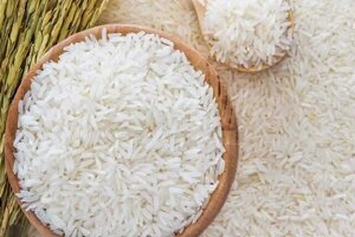 برنج کته چیست؟ و 5 مزیت آن برای سلامتی بدن