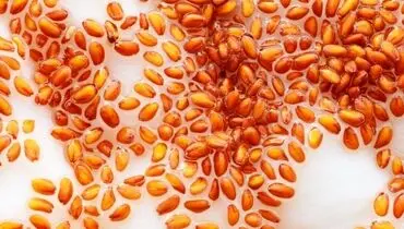 خواص تخم شاهی که از شنیدن آنها شگفت زده خواهید شد
