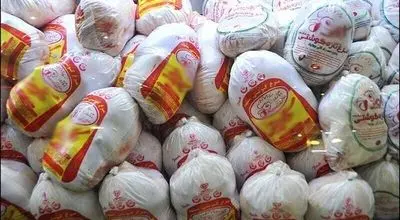 توزیع مرغ منجمد در تهران کلید خورد | نرخ مصوب هر کیلو اعلام شد