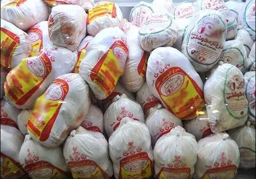 توزیع مرغ منجمد با نرخ ۱۲۵ هزار تومان در تهران آغاز شد