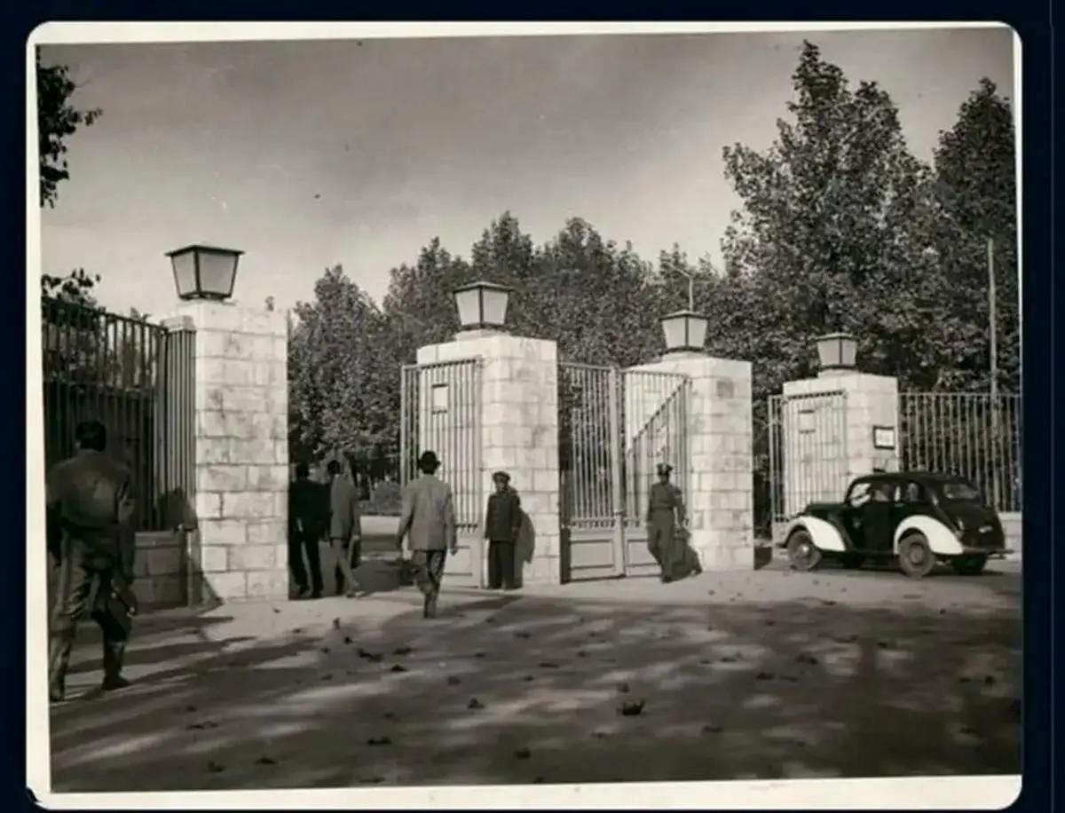 روزهای دانشجویی پزشکیان، عارف و شریعتی