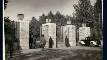 روزهای دانشجویی پزشکیان، عارف و شریعتی