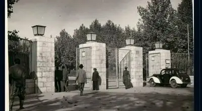 روزهای دانشجویی پزشکیان، عارف و شریعتی