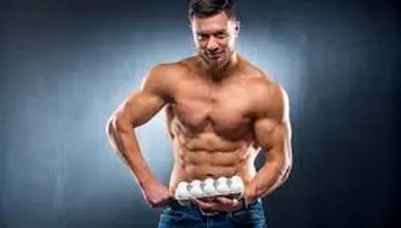 
چرا مصرف تخم مرغ در بدنسازی مهم است؟ ۷ دلیل علمی
