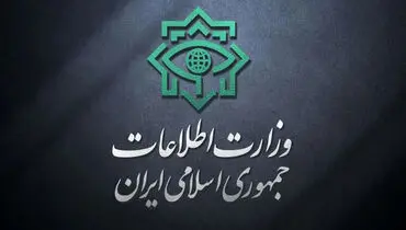 بیانیه مهم وزارت اطلاعات؛‌ ۷۹ ضربه به تروریست ها در رویارویی مستقیم
