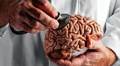 مغز جوان‌تر می‌خواهید؟ این توصیه‌ها را رعایت کنید
