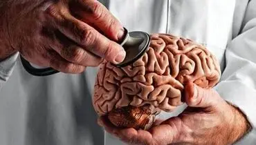 مغز جوان‌تر می‌خواهید؟ این توصیه‌ها را رعایت کنید
