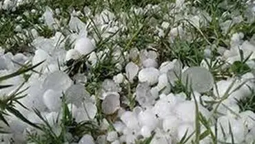تصاویر وحشتناک بارش سنگین تگرگ در جنوب فرانسه