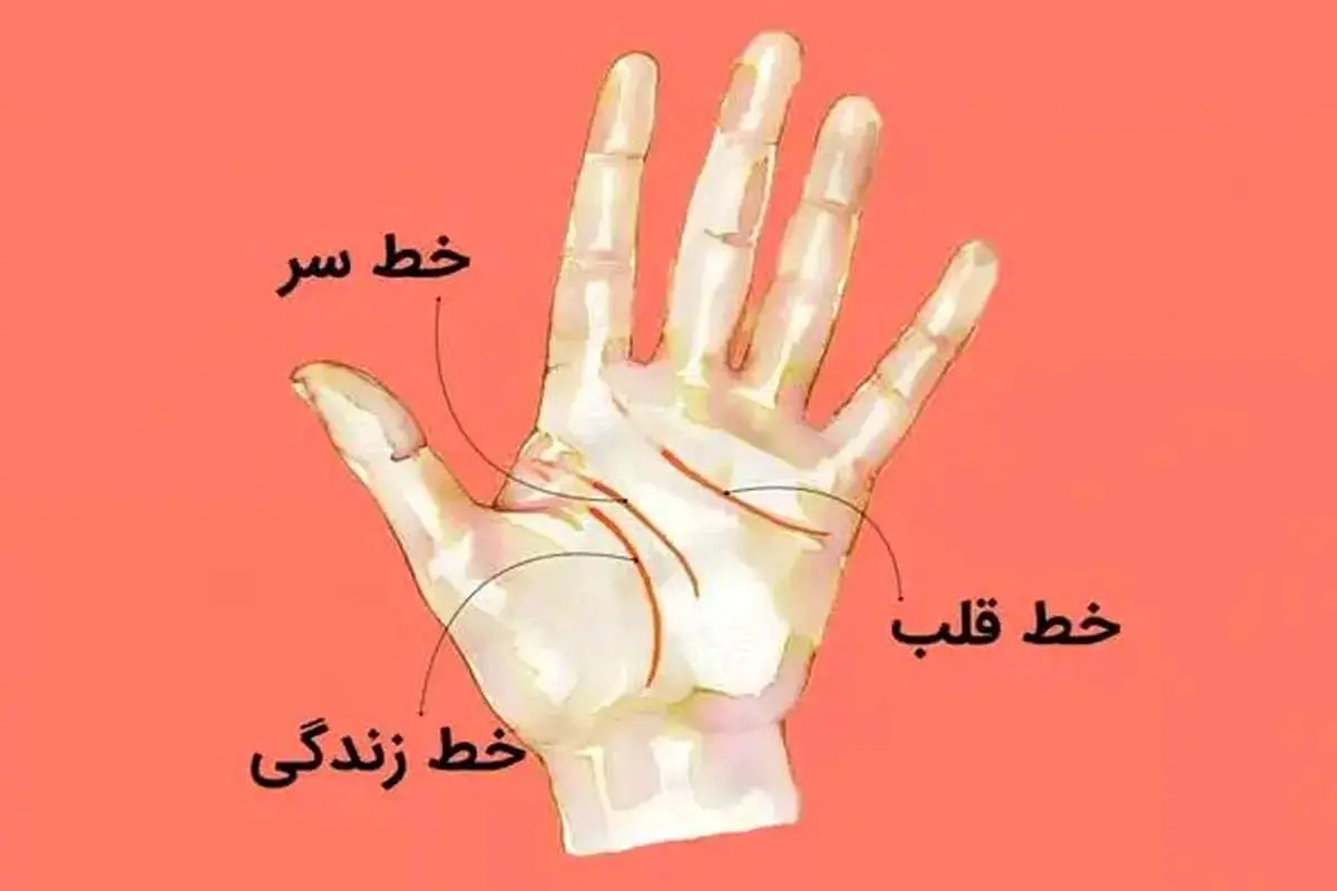 آیا کف بینی دست صحت دارد؟ | بررسی علمی و دیدگاهها