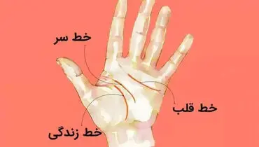 آیا کف بینی دست صحت دارد؟ | بررسی علمی و دیدگاه‌ها
