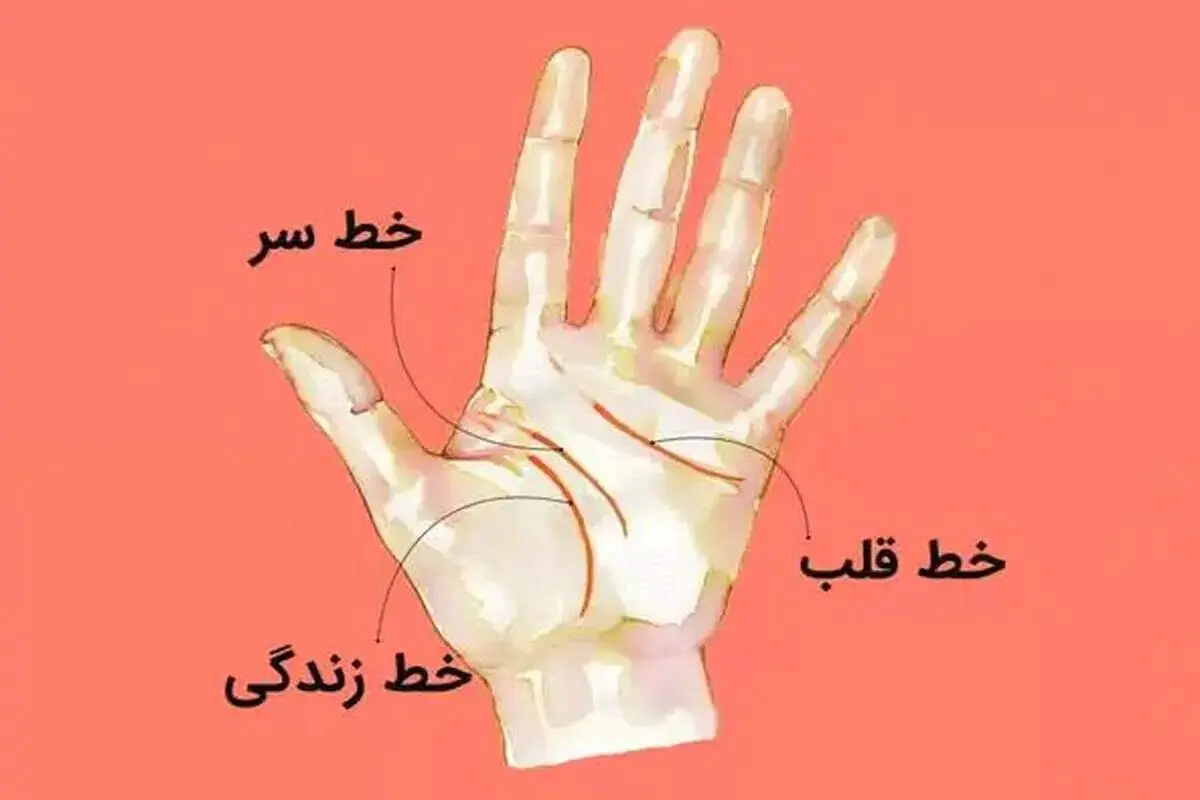 آیا کف بینی دست صحت دارد؟ | بررسی علمی و دیدگاه‌ها
