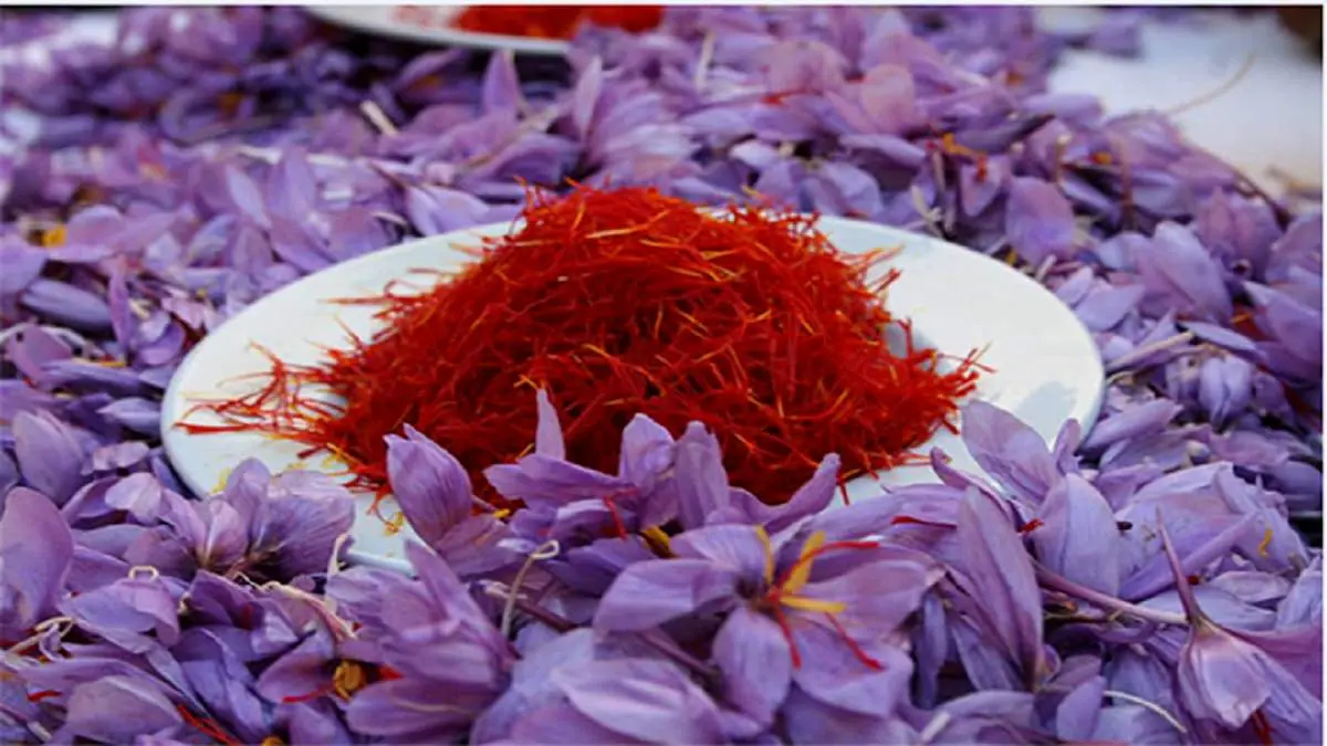 زعفران به دنیای رمزارزها وارد شد