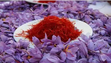 کاهش ۱۰۰ درصدی صادرات زعفران ایران