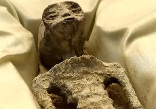 ایران در مسیر فرونشست و خشکی؛ الگوی خلیج فارس تنها امید؟