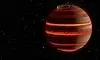 طرز تهیه‌ی یاسای مرغ بی‌نقص