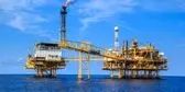 10 زن پیشتاز صنعت نفت و گاز در 2024+ عکس