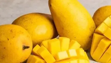 انبه برای معده: فواید، خواص و نکات مهم
