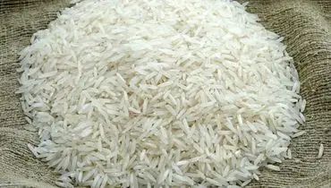 لغو ممنوعیت واردات برنج؛ ثبت سفارش‌ها از دوشنبه