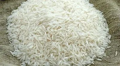لغو ممنوعیت واردات برنج؛ ثبت سفارش‌ها از دوشنبه