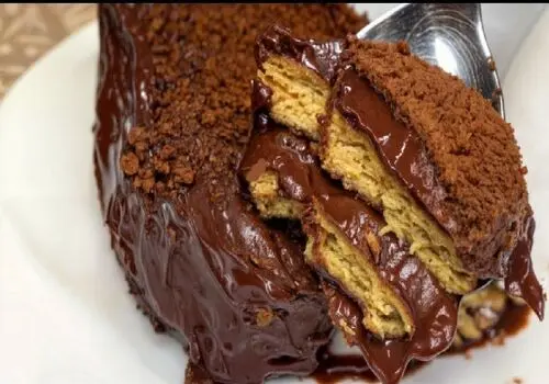 طرز تهیه لذیذترین کیک یخچالی رافائلو + فیلم / مرحله به مرحله آموزش کیک یخچالی رافائلو با بیسکوییت