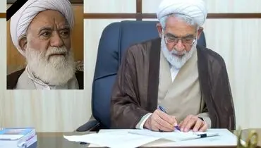 پیام تسلیت رئیس دیوان عالی کشور در پی درگذشت حجت الاسلام والمسلمین حاج شیخ علی اصغر باغانی