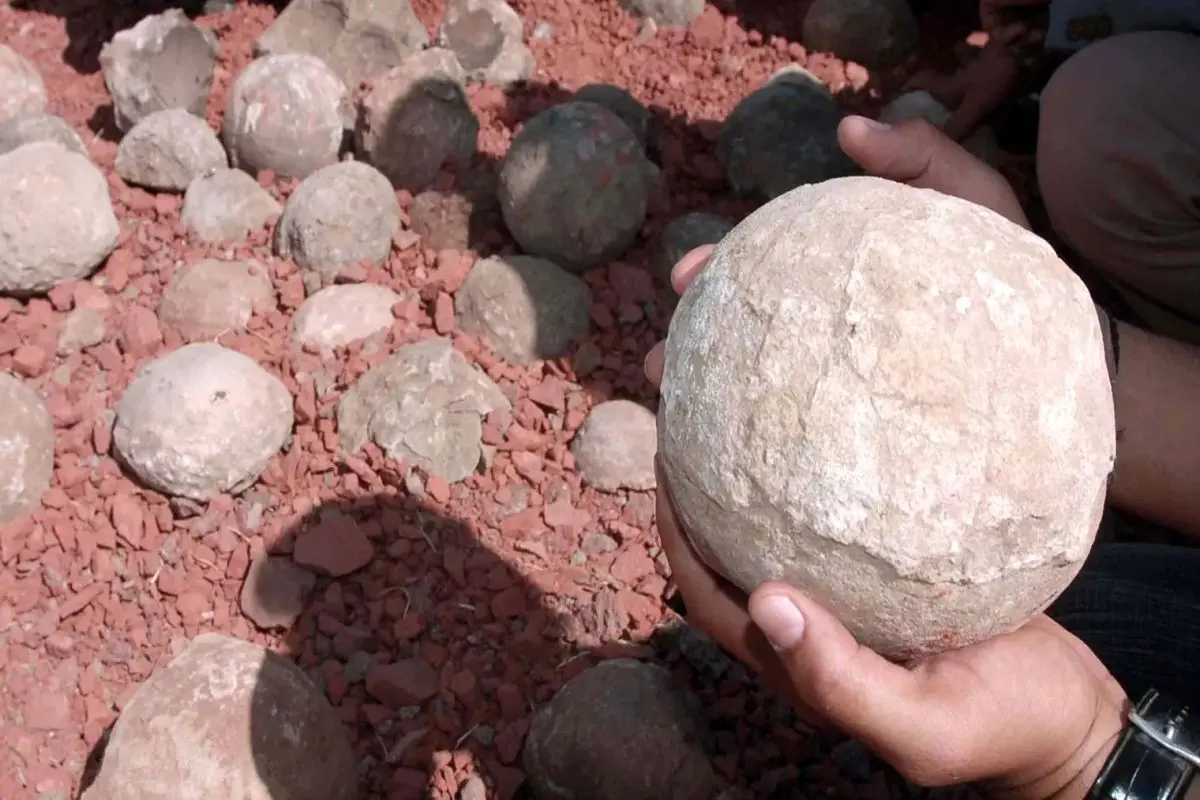 سنگ‌های مقدس مورد پرستش هندوها «تخم‌ دایناسور» از آب درآمدند!+ عکس