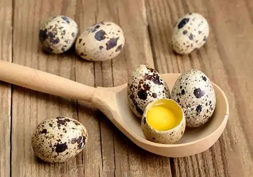 کودک سالم‌تر و باهوش‌تر می‌خواهید؟ این مطلب را در مورد تخم بلدرچین بخوانید!