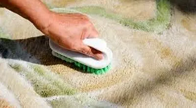 راهکارهای تمیز کردن فرش روشن و سفید

