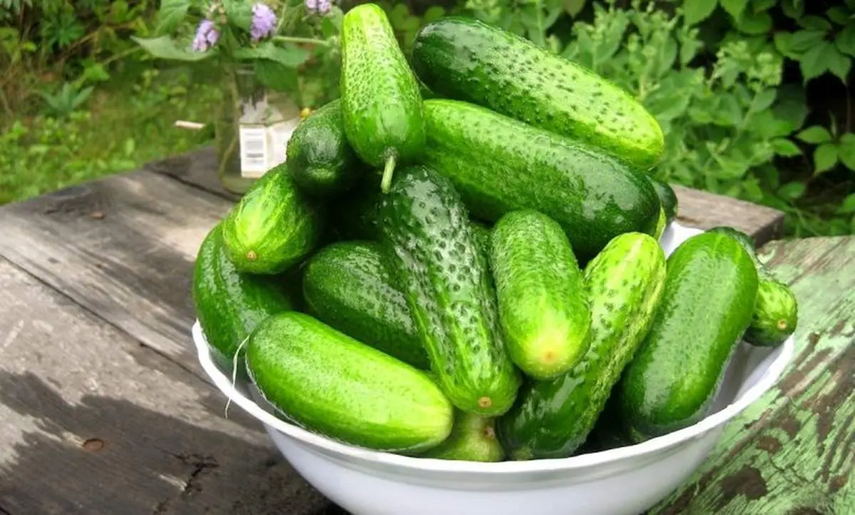 تاثیرات خیار بر کاهش وزن
