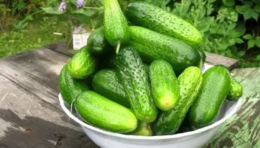 تاثیرات خیار بر کاهش وزن

